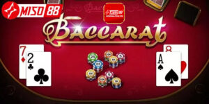 Baccarat petalive